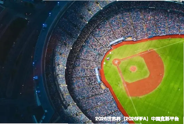 核心团队：跨界精英，硕博领衔
